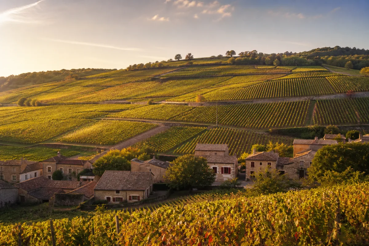 Village de pierres dorées surplombant les coteaux viticoles du Beaujolais au petit matin