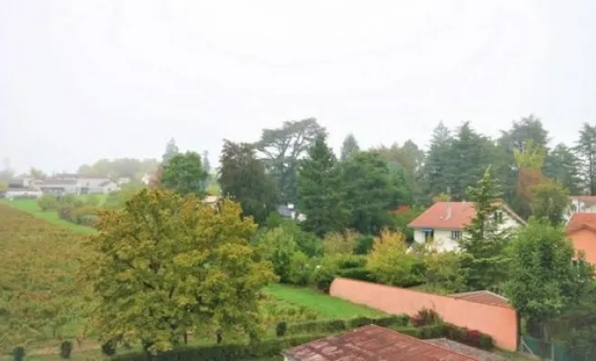 Vente appartement en viager occupé à Gleizé - 3 pièces - 70m² - 70 000 €, Villefranche-sur-Saône, COLIN IMMOBILIER